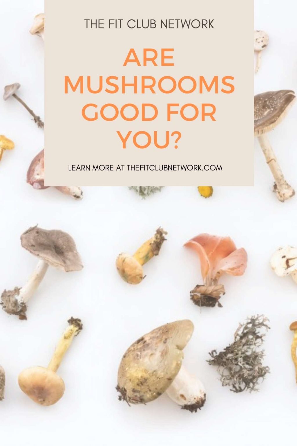 Are Mushrooms Good for You? - The Fit Club Network